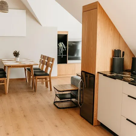 Apartmán Nowoczesne Premium A09 I A16 Z Klimatyzacja I Parkingiem W Cenie - Mountain & River - Izby Podhalanskie